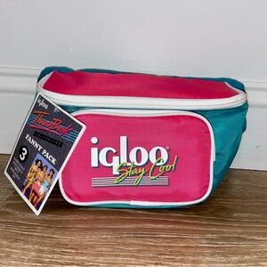 NWT: Igloo Throwback Fanny Pack
